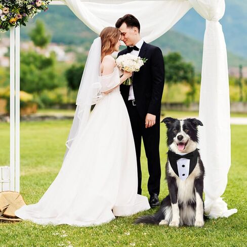 طوق باندانا لحفلات الزفاف مع ربطة عنق - أزياء رسمية للكلاب قابلة للتعديل، هدايا عيد ميلاد وحفلات الخطوبة للكلاب الصغيرة والمتوسطة والكبيرة والحيوانات الأليفة باللون الأسود-S in Kuwait