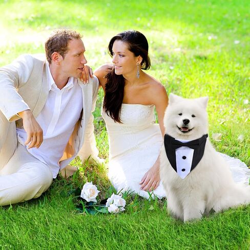 طوق باندانا لحفلات الزفاف مع ربطة عنق - أزياء رسمية للكلاب قابلة للتعديل، هدايا عيد ميلاد وحفلات الخطوبة للكلاب الصغيرة والمتوسطة والكبيرة والحيوانات الأليفة باللون الأسود-S in Kuwait