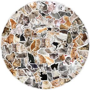 100 Pcs Waterproof Cute Cat Stickers for Water Bottles, Kawaii Stickers Pack Set Funny Cat Stickers for Laptop Guitar Luggage Vinyl Stickers for Adults Girls Teens Kids Toddlers