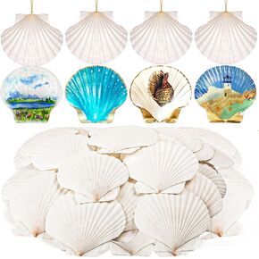 40 Pcs Sea Shells for Crafting, Natural White Scallop Shell, Beach Large Seashells Bulk for DIY Craft Painting Beaching Themed Party Decoration