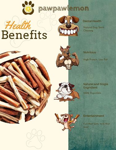 pawpawlemon Jumbo Organic Beef Pizzle Bully Stick Dog Chew (6 inch Pack of 3) | Jumbo Thickness for Large Dogs in Saudi Arabia