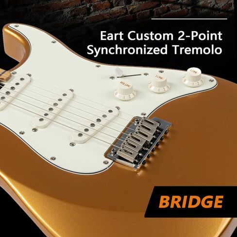 EART NK-VS60 6 سلسلة جيتار كهربائي ذو جسم صلب، جسم الماهوجني المحمص، جيتار كهربائي كامل الحجم التقاطات ألنيكو-V، جيتار كهربائي بنظام تريمولو in Kuwait