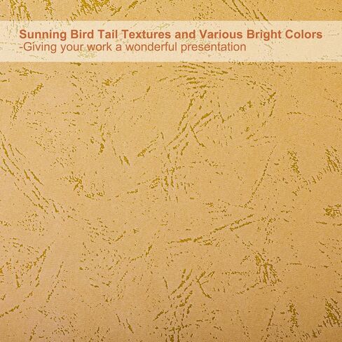 PATIKIL 12Mil Paper Binding Presentation Covers for A4 and Letter Size(8.5x11Inches) Paper, 100Pcs 180gsm Textured Bookbinding Paper for Business and Report, Sky Blue in Kuwait