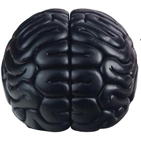 mildahjoy Brain Bookends, 6.5Inch Tall Brain Decorative Resin Book Shelf Organizers Book Holders Shelf Dividers Book Ends for Home or Office Shelves Brain Sculpture Bookend Set