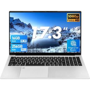 17.3 inch Laptop Computer,Celeron N5095 (Up to 2.9 GHz) Processor, 16GB RAM, 256G SSD, Large FHD IPS Display,Wi-Fi, HDMI, Webcam, Backlit Keyboard,Windows 11 Silver Laptop (16G+256G SSD)