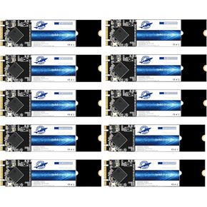 Dogfish M.2 2280 SSD 64GB SATA III 6 Gb/s, Internal Solid State Drive - Compatible with Desktop PC Laptop (M.2 2280, 64GB*10Pack)
