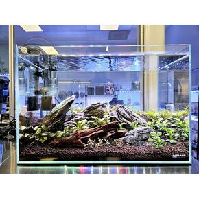 10 Gallon Low Iron Glass Rimless Aquarium 5mm - (17.72" x 10.63" 11.81")