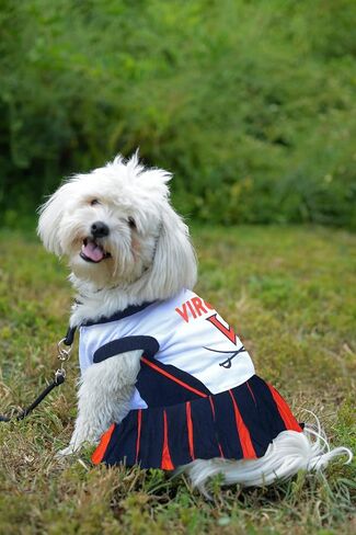 NCAA Louisville Cardinals Dog Cheerleader Outfit, Small in Kuwait