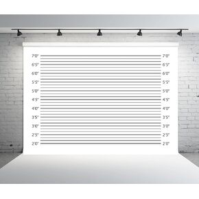 BELECO 7x5ft Fabric Mugshot Backdrop Police Lineup Height Charts Backdrop for Photography Bachelorette Party Girls Night Out Party Supplies Prison Mugshot Police Lineup Photo Booth Banner Studio Props