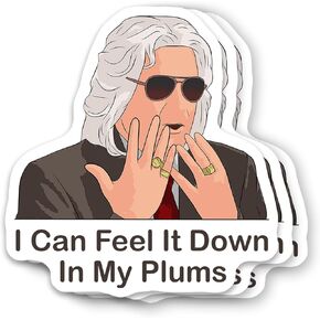 (3Pcs) I Can Feel It Down in My Plums Ashley Schaeffer Eastbound and Down Sticker 3 Inch for Water Bottle, Tumbler, Laptop, Hat, Phone Case