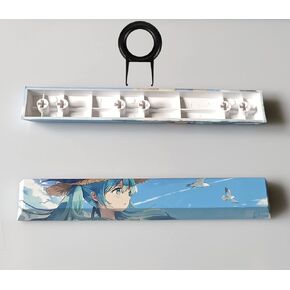 Spacebar Keycap,DIY PTB Keycaps,Five-sided Sublimation Custom Keycaps,6.25U 6.25X Space Keycap OEM Profile Keycaps for DIY Mechanical Keyboard - A Variety of Personalized Patterns Optional (kit15)