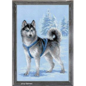 Riolis Counted Cross Stitch Dog Show, Multicoloured