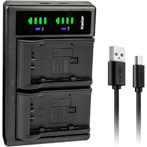 Kastar 2-Pack CGA-DU14 Battery and LTD2 USB Charger Compatible with Panasonic VDR-D158, VDR-D160, VDR-D200, VDR-D210, VDR-D220, VDR-D230, VDR-D250, VDR-D258, VDR-D300, VDR-D308, VDR-D310 Camera