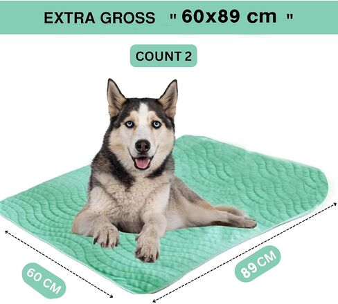 Non-Slip Washable Pee Pads for Dogs 2Pcs Reusable Pee Pads for Dogs (24"x18") Super Absorbent Dog Pads Washable Waterproof Washable Dog Pee Pads Washable Dog Pads for Absorbent in Saudi Arabia