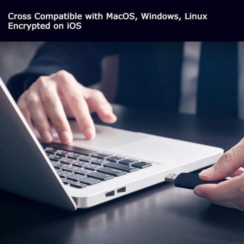 محرك أقراص فلاش USB مشفر ببصمة الإصبع سعة 128 جيجابايت │ أمان بيومتري متقدم، نقل سريع للبيانات، مقاوم للماء والصدمات │ Timberwolf Gray in Kuwait