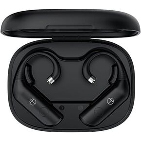 Fanmusic TRN BT20 Pro True Wireless Bluetooth 5.3 Earphone Module Swappable connectors (Headphones not Included) (2Pin 0.78mm)