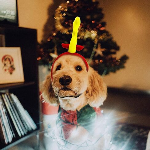 Reindeer Antlers Headband Dog Christmas Costume Dog Halloween Costume(Yellow Red, Reindeer-S) in Saudi Arabia