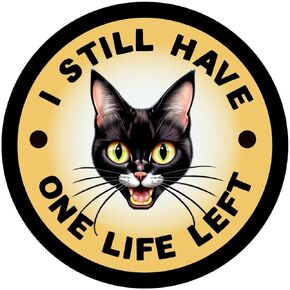 Black Cat Stickers - Vinyl Laptop Stickers, Cute Cat Stickers for Water Bottles & Cars - Funny Cat Stickers for Water Bottles - Durable Decals for Tumblers - Waterproof Stickers for Water Bottle