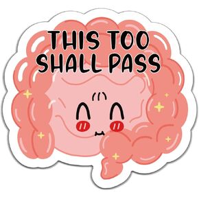 YAZMEEN 20 Pcs Funny Colon Organ Stickers This Too Shall Pass Stickers Decals for Water Bottle Notebook Phone Work Accessories Stickers for Nursing Doctor Assistant Student Medical Staff（Size 2.5''）