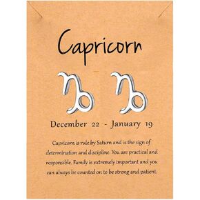 Astrology Earrings for Sensitive Ears Zodiac Sign Stud Earrings 12 Constellation Birth Months Tiny Horoscope Stud Earrings for Women Teen