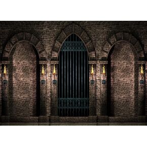 BELECO 10x8ft Fabric Gothic Castle Photography Backdrop Ancient Stone Wall Arches Iron Gates Torches Prison Corridor Halloween Night Background Medieval Castle Birthday Party Decorations Photo Props