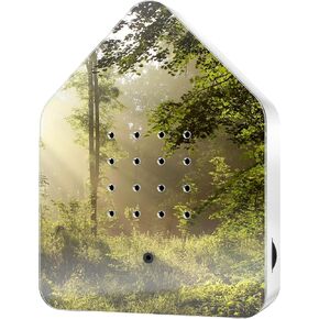 RELAXOUND Original Birdybox "Sunbeam" - Modern Nature Sound Box - Relaxing Cheerful Bird Concert - Motion Sensor with Sound - Relaxing Tool