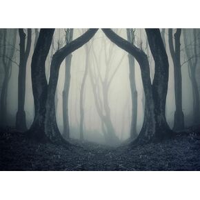 BELECO 7x5ft Fabric Dark Misty Woods Backdrop Halloween Spooky Forest Backdrop for Photography Magic Grove Vampire Evil Trees Background Witch Wizard Sorcerer Ghost Theme Party Decoration Photo Props