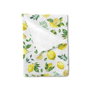 Watercolor Watermelon Baby Blanket for Boy Girl Watermelon Leaves Flannel Receiving Blanket Tropical Summer Fruits Soft Swaddle Blanket Newborn Toddler Nursery Bed Blanket for Crib Stroller 30x40