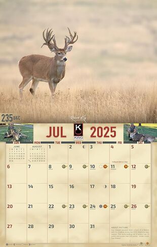 2024 تقويم جداري من سلسلة Monster Bucks & Bulls Signature لمدة 16 شهرًا مقاس X-Large 14x22، أفضل غزال ذو ذيل أبيض | بغل غزال باك | تقويم Elk من شركة KING-Monster Calendars in Kuwait