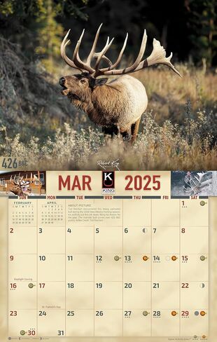 2024 تقويم جداري من سلسلة Monster Bucks & Bulls Signature لمدة 16 شهرًا مقاس X-Large 14x22، أفضل غزال ذو ذيل أبيض | بغل غزال باك | تقويم Elk من شركة KING-Monster Calendars in Kuwait