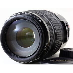Canon EF 75-300mm f/4-5.6 IS USM Telephoto Zoom Lens for Canon SLR Cameras (Renewed)