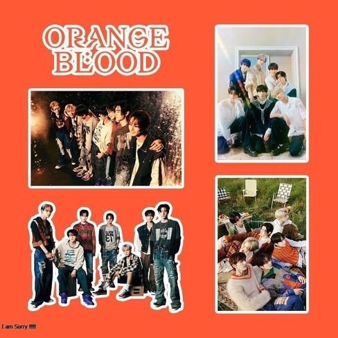 ENHYPEN Stickers 2024 New Album ENHYPEN Vinyl Waterproof Decals Gift for Water Bottles, Laptop,Luggage(92PCS) Colorful in Saudi Arabia