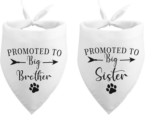 Dog Wedding Engagement Bandana Dad Asked and Mom Said Yes Dog Bandana Wedding Engagement Announcement Wedding Photo Prop Pet Accessories for Dog Lovers Owner Gift Pack of 2 in Saudi Arabia