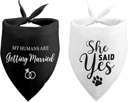 Dog Wedding Engagement Bandana Dad Asked and Mom Said Yes Dog Bandana Wedding Engagement Announcement Wedding Photo Prop Pet Accessories for Dog Lovers Owner Gift Pack of 2 in Saudi Arabia