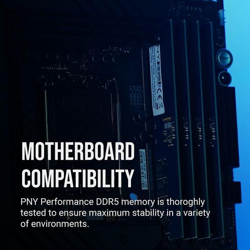 ذاكرة بي إن واي بيرفورمانس 8 جيجابايت DDR5 4800 ميجاهرتز (PC5-38400) CL40 1.1 فولت لسطح المكتب (DIMM) - MD8GSD54800-TBA in Kuwait