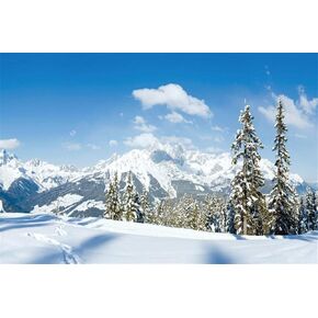 Leyiyi 7x5ft Enchanted Winter Forest Backdrop Snow Covered Mountain Woodland Pine Trees Winter Camping Skiing Hiking Photography Background Merry Christmas New Year Photo Studio Prop Vinyl Wallpaper