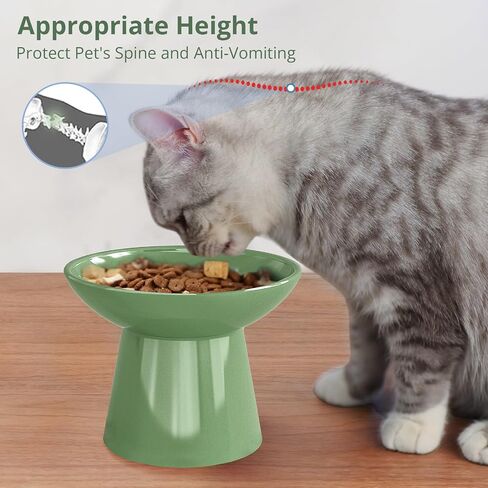 SUNQEBO Elevated Cat Bowls, Ceramic Raised Cat Bowl for Food and Water, Tilted Small Dogs and Puppy Bowl Backflow Prevention and Protect Pet's Spines, Artistic Unique Shape (2 Pack, White) in Saudi Arabia