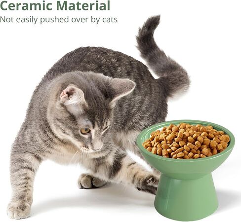 SUNQEBO Elevated Cat Bowls, Ceramic Raised Cat Bowl for Food and Water, Tilted Small Dogs and Puppy Bowl Backflow Prevention and Protect Pet's Spines, Artistic Unique Shape (2 Pack, White) in Saudi Arabia