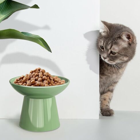 SUNQEBO Elevated Cat Bowls, Ceramic Raised Cat Bowl for Food and Water, Tilted Small Dogs and Puppy Bowl Backflow Prevention and Protect Pet's Spines, Artistic Unique Shape (2 Pack, White) in Saudi Arabia