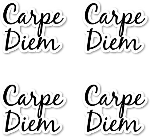 Carpe Diem Sticker Motivational Quotes Stickers - 3 Pack - Set of 2.5, 3 and 4 Inch Vinyl Laptop Stickers - for Laptop, Phone, Water Bottle, Car & More Decal (3 Pack) S214665-3Pack in Saudi Arabia