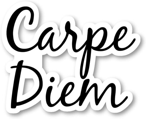 Carpe Diem Sticker Motivational Quotes Stickers - 3 Pack - Set of 2.5, 3 and 4 Inch Vinyl Laptop Stickers - for Laptop, Phone, Water Bottle, Car & More Decal (3 Pack) S214665-3Pack in Saudi Arabia