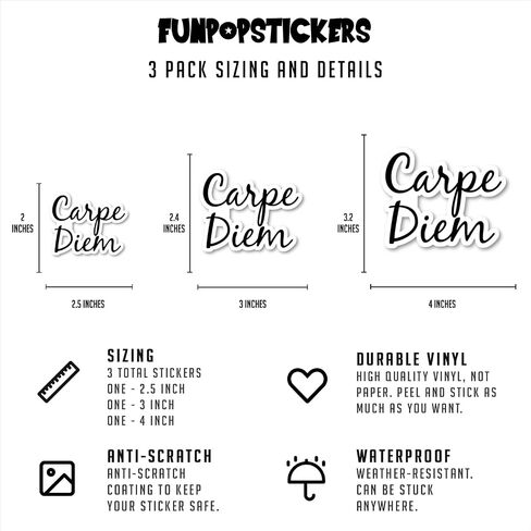 Carpe Diem Sticker Motivational Quotes Stickers - 3 Pack - Set of 2.5, 3 and 4 Inch Vinyl Laptop Stickers - for Laptop, Phone, Water Bottle, Car & More Decal (3 Pack) S214665-3Pack in Saudi Arabia
