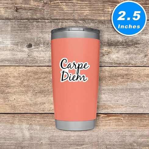 Carpe Diem Sticker Motivational Quotes Stickers - 3 Pack - Set of 2.5, 3 and 4 Inch Vinyl Laptop Stickers - for Laptop, Phone, Water Bottle, Car & More Decal (3 Pack) S214665-3Pack in Saudi Arabia