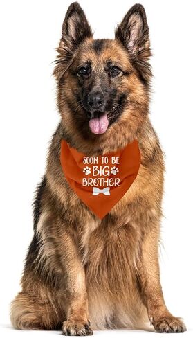 Big Brother Bandana for Dog, Dog Bandana Pregnancy Announcement, Dog Scarf, Dog Pregnancy Announcement, Apricot Gray Dog Bandana, Dog Bandana for Small Medium Large Dogs (A89) in Saudi Arabia