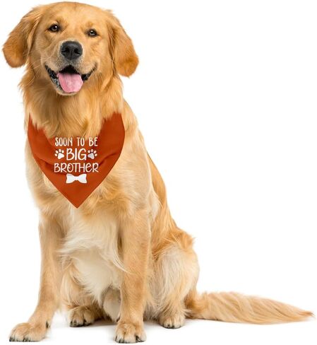 Big Brother Bandana for Dog, Dog Bandana Pregnancy Announcement, Dog Scarf, Dog Pregnancy Announcement, Apricot Gray Dog Bandana, Dog Bandana for Small Medium Large Dogs (A89) in Saudi Arabia