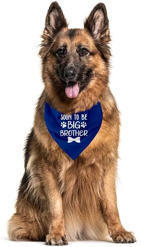 Big Brother Bandana for Dog, Dog Bandana Pregnancy Announcement, Dog Scarf, Dog Pregnancy Announcement, Apricot Gray Dog Bandana, Dog Bandana for Small Medium Large Dogs (A89) in Saudi Arabia