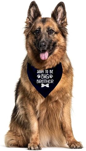 Big Brother Bandana for Dog, Dog Bandana Pregnancy Announcement, Dog Scarf, Dog Pregnancy Announcement, Apricot Gray Dog Bandana, Dog Bandana for Small Medium Large Dogs (A89) in Saudi Arabia