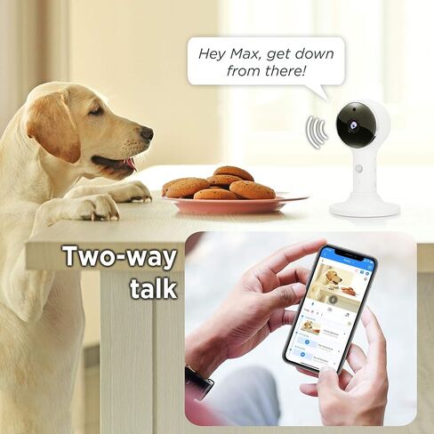 جهاز مراقبة الأطفال Motorola Connect60 من Hubble Connected Video - وحدة للأهل مقاس 5 بوصات وعرض واي فاي بدقة 1080 بكسل للأطفال وكبار السن والحيوانات الأليفة - صوت ثنائي الاتجاه، رؤية ليلية، تكبير رقمي، تطبيق Hubble in Saudi Arabia