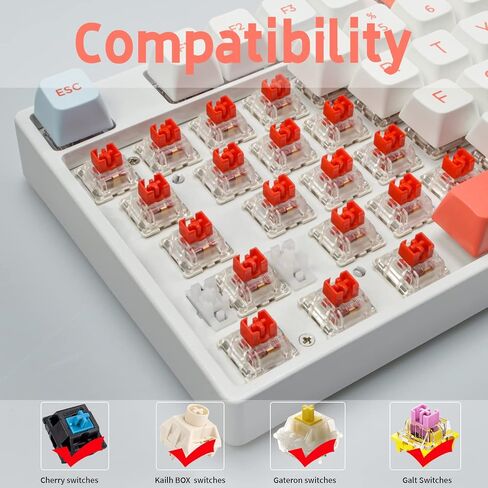 أغطية المفاتيح، PBT Keycap Profile Dye Sublimation، مجموعة مفاتيح 104 للوحة المفاتيح الميكانيكية الإنجليزية (الولايات المتحدة) (السلمون) in Saudi Arabia