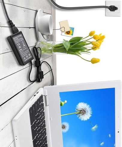 شاحن محول تيار متردد للكمبيوتر المحمول 65 وات لجهاز Chromebook 11 3180 3189 3120 3181 P22T P26T LA65NS2-01 09RN2C 6TM1C A065R039L HA65NM130 Y1H45 1XRN1 PA-1900-02D CB1C13 DA65NM111-00 928 مزود الطاقة G4. in Saudi Arabia